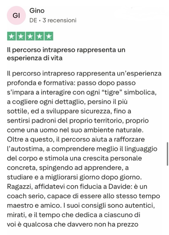 Recensione Trustpilot 2